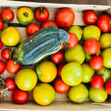 Apartment Emporium - Premium Serviced *