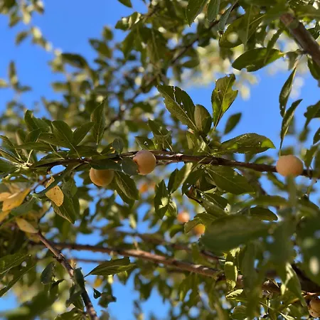 Emporium - Premium Serviced Neris-les-Bains